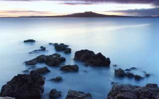 AI's Rise in Trading: What it really means - Reddit's Take