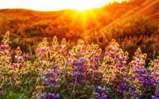 Bitcoin-Linked Tech Stocks Face Danger Threshold: Navigating the Shift and Unlocking Opportunity