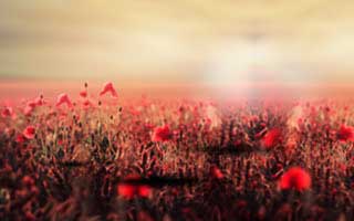 AI's Rise in Trading: What it really means - Reddit's Take